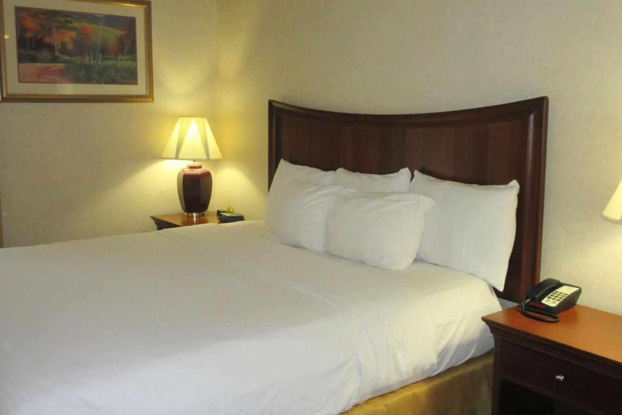 Quality Inn & Suites Owego Buitenkant foto